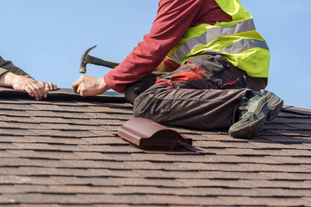 Roof Gutter Cleaning in Shelbyville, IL
