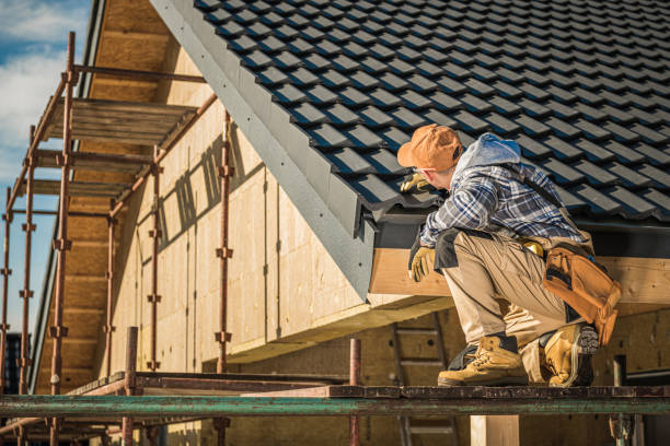 Best Roof Gutter Cleaning  in Shelbyvle, IL