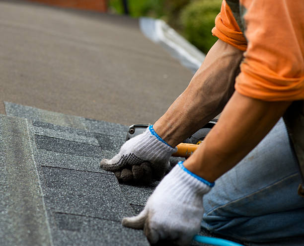 Roof Waterproofing Services in Shelbyville, IL